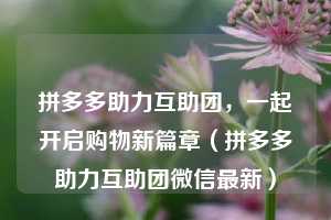 拼多多助力互助团,一起开启购物新篇章(拼多多助力互助团微信最新) 第1张 拼多多助力互助团,一起开启购物新篇章(拼多多助力互助团微信最新) 第1张