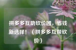 拼多多互助砍价团,省钱新选择!(拼多多互帮砍价) 第1张 拼多多互助砍价团,省钱新选择!(拼多多互帮砍价) 第1张