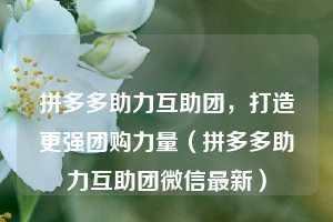 拼多多助力互助团,打造更强团购力量(拼多多助力互助团微信最新) 第1张 拼多多助力互助团,打造更强团购力量(拼多多助力互助团微信最新) 第1张