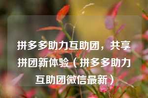 拼多多助力互助团,共享拼团新体验(拼多多助力互助团微信最新) 第1张 拼多多助力互助团,共享拼团新体验(拼多多助力互助团微信最新) 第1张