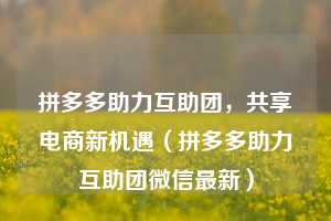 拼多多助力互助团,共享电商新机遇(拼多多助力互助团微信最新) 第1张 拼多多助力互助团,共享电商新机遇(拼多多助力互助团微信最新) 第1张