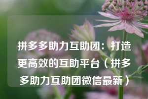 拼多多助力互助团:打造更高效的互助平台(拼多多助力互助团微信最新) 第1张 拼多多助力互助团:打造更高效的互助平台(拼多多助力互助团微信最新) 第1张