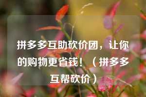 拼多多互助砍价团,让你的购物更省钱!(拼多多互帮砍价) 第1张 拼多多互助砍价团,让你的购物更省钱!(拼多多互帮砍价) 第1张