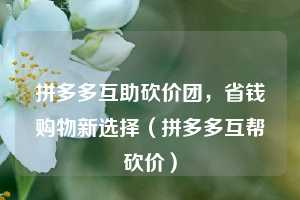 拼多多互助砍价团,省钱购物新选择(拼多多互帮砍价) 第1张 拼多多互助砍价团,省钱购物新选择(拼多多互帮砍价) 第1张