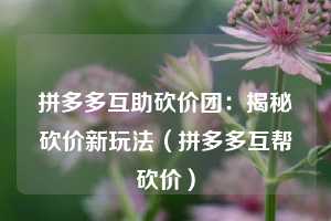 拼多多互助砍价团:揭秘砍价新玩法(拼多多互帮砍价) 第1张 拼多多互助砍价团:揭秘砍价新玩法(拼多多互帮砍价) 第1张