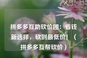 拼多多互助砍价团:省钱新选择,砍到最低价!(拼多多互帮砍价) 第1张 拼多多互助砍价团:省钱新选择,砍到最低价!(拼多多互帮砍价) 第1张