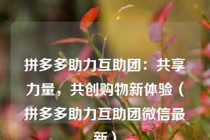 拼多多助力互助团:共享力量,共创购物新体验(拼多多助力互助团微信最新) 第1张 拼多多助力互助团:共享力量,共创购物新体验(拼多多助力互助团微信最新) 第1张