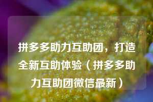 拼多多助力互助团,打造全新互助体验(拼多多助力互助团微信最新) 第1张 拼多多助力互助团,打造全新互助体验(拼多多助力互助团微信最新) 第1张