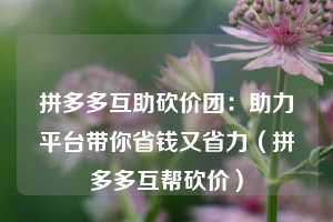 拼多多互助砍价团:助力平台带你省钱又省力(拼多多互帮砍价) 第1张 拼多多互助砍价团:助力平台带你省钱又省力(拼多多互帮砍价) 第1张