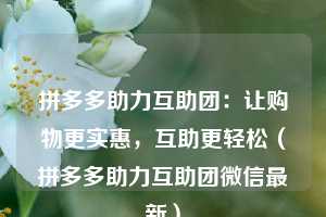 拼多多助力互助团:让购物更实惠,互助更轻松(拼多多助力互助团微信最新) 第1张 拼多多助力互助团:让购物更实惠,互助更轻松(拼多多助力互助团微信最新) 第1张