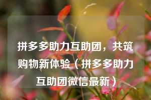 拼多多助力互助团,共筑购物新体验(拼多多助力互助团微信最新) 第1张 拼多多助力互助团,共筑购物新体验(拼多多助力互助团微信最新) 第1张