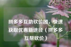 拼多多互助砍价团,快速获取优惠新途径(拼多多互帮砍价) 第1张 拼多多互助砍价团,快速获取优惠新途径(拼多多互帮砍价) 第1张