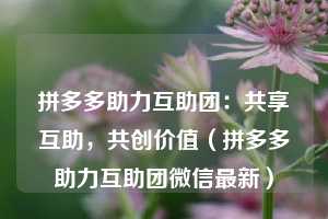 拼多多助力互助团:共享互助,共创价值(拼多多助力互助团微信最新) 第1张 拼多多助力互助团:共享互助,共创价值(拼多多助力互助团微信最新) 第1张