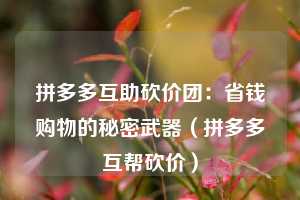 拼多多互助砍价团:省钱购物的秘密武器(拼多多互帮砍价) 第1张 拼多多互助砍价团:省钱购物的秘密武器(拼多多互帮砍价) 第1张