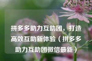 拼多多助力互助团,打造高效互助新体验(拼多多助力互助团微信最新) 第1张 拼多多助力互助团,打造高效互助新体验(拼多多助力互助团微信最新) 第1张