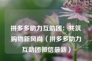 拼多多助力互助团:共筑购物新风尚(拼多多助力互助团微信最新) 第1张 拼多多助力互助团:共筑购物新风尚(拼多多助力互助团微信最新) 第1张