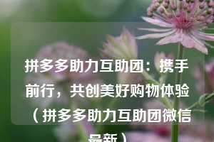 拼多多助力互助团:携手前行,共创美好购物体验(拼多多助力互助团微信最新) 第1张 拼多多助力互助团:携手前行,共创美好购物体验(拼多多助力互助团微信最新) 第1张