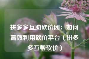 拼多多互助砍价团:如何高效利用砍价平台(拼多多互帮砍价) 第1张 拼多多互助砍价团:如何高效利用砍价平台(拼多多互帮砍价) 第1张