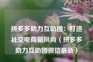 拼多多助力互助团:打造社交电商新风尚(拼多多助力互助团微信最新) 第1张 拼多多助力互助团:打造社交电商新风尚(拼多多助力互助团微信最新) 第1张