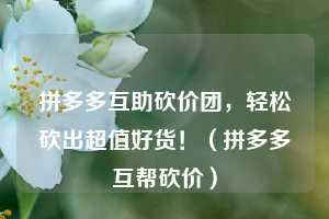 拼多多互助砍价团,轻松砍出超值好货!(拼多多互帮砍价) 第1张 拼多多互助砍价团,轻松砍出超值好货!(拼多多互帮砍价) 第1张