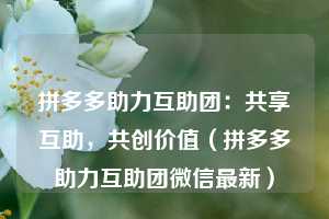 拼多多助力互助团:共享互助,共创价值(拼多多助力互助团微信最新) 第1张 拼多多助力互助团:共享互助,共创价值(拼多多助力互助团微信最新) 第1张