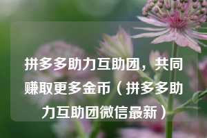 拼多多助力互助团,共同赚取更多金币(拼多多助力互助团微信最新) 第1张 拼多多助力互助团,共同赚取更多金币(拼多多助力互助团微信最新) 第1张