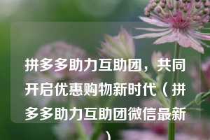 拼多多助力互助团,共同开启优惠购物新时代(拼多多助力互助团微信最新) 第1张 拼多多助力互助团,共同开启优惠购物新时代(拼多多助力互助团微信最新) 第1张