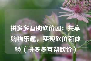 拼多多互助砍价团:共享购物乐趣,实现砍价新体验(拼多多互帮砍价) 第1张 拼多多互助砍价团:共享购物乐趣,实现砍价新体验(拼多多互帮砍价) 第1张