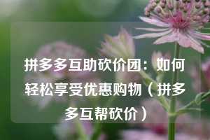 拼多多互助砍价团:如何轻松享受优惠购物(拼多多互帮砍价) 第1张 拼多多互助砍价团:如何轻松享受优惠购物(拼多多互帮砍价) 第1张