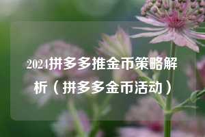 2024拼多多推金币策略解析(拼多多金币活动) 第1张 2024拼多多推金币策略解析(拼多多金币活动) 第1张