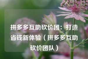 拼多多互助砍价团:打造省钱新体验(拼多多互助砍价团队) 第1张 拼多多互助砍价团:打造省钱新体验(拼多多互助砍价团队) 第1张