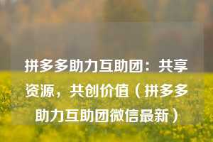 拼多多助力互助团:共享资源,共创价值(拼多多助力互助团微信最新) 第1张 拼多多助力互助团:共享资源,共创价值(拼多多助力互助团微信最新) 第1张