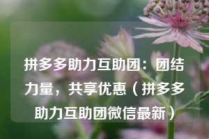 拼多多助力互助团:团结力量,共享优惠(拼多多助力互助团微信最新) 第1张 拼多多助力互助团:团结力量,共享优惠(拼多多助力互助团微信最新) 第1张