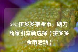 2024拼多多推金币,助力商家引流新选择(拼多多金币活动) 第1张 2024拼多多推金币,助力商家引流新选择(拼多多金币活动) 第1张