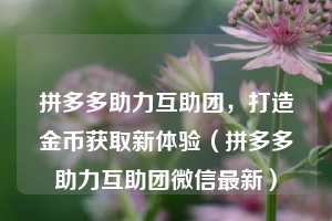 拼多多助力互助团,打造金币获取新体验(拼多多助力互助团微信最新) 第1张 拼多多助力互助团,打造金币获取新体验(拼多多助力互助团微信最新) 第1张