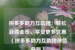 拼多多助力互助团:轻松获得金币,享受更多优惠(拼多多助力互助团微信最新) 第1张 拼多多助力互助团:轻松获得金币,享受更多优惠(拼多多助力互助团微信最新) 第1张