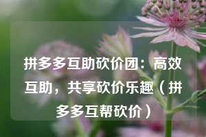 拼多多互助砍价团:高效互助,共享砍价乐趣(拼多多互帮砍价) 第1张 拼多多互助砍价团:高效互助,共享砍价乐趣(拼多多互帮砍价) 第1张