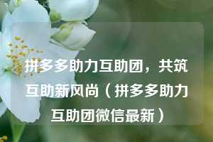 拼多多助力互助团,共筑互助新风尚(拼多多助力互助团微信最新) 第1张 拼多多助力互助团,共筑互助新风尚(拼多多助力互助团微信最新) 第1张