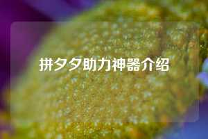 拼夕夕助力神器介绍 拼多多助力 拼多多推金币 拼多多推金币助力 拼多多助力平台 拼多多助力项目 拼多多助力网站 赚钱项目 暑假赚钱项目 拼多多赚钱 第1张 拼夕夕助力神器介绍 拼多多助力 拼多多推金币 拼多多推金币助力 拼多多助力平台 拼多多助力项目 拼多多助力网站 赚钱项目 暑假赚钱项目 拼多多赚钱 第1张