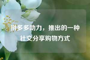 拼多多助力,推出的一种社交分享购物方式 第1张 拼多多助力,推出的一种社交分享购物方式 第1张