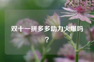 双十一拼多多助力火爆吗? 拼多多助力 拼多多推金币 拼多多推金币助力 拼多多助力平台 拼多多助力项目 拼多多助力网站 赚钱项目 暑假赚钱项目 拼多多赚钱 第1张 双十一拼多多助力火爆吗? 拼多多助力 拼多多推金币 拼多多推金币助力 拼多多助力平台 拼多多助力项目 拼多多助力网站 赚钱项目 暑假赚钱项目 拼多多赚钱 第1张