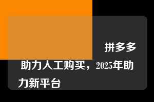 💯💯拼多多助力人工购买，2025年助力新平台💯💯  第1张