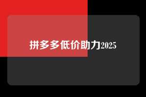 拼多多低价助力2025  拼多多低价助力 第1张