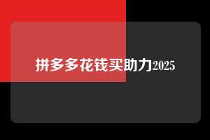 拼多多花钱买助力2025 第1张 拼多多花钱买助力2025 第1张